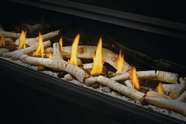 Vector™ 38 See Through Direct Vent Fireplace