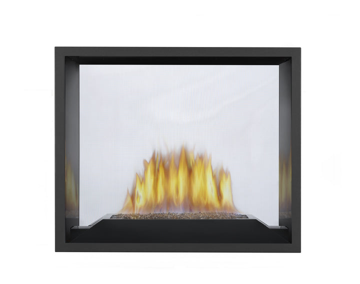 High Definition 81 Direct Vent Fireplace, Natural Gas, Electronic Ignition