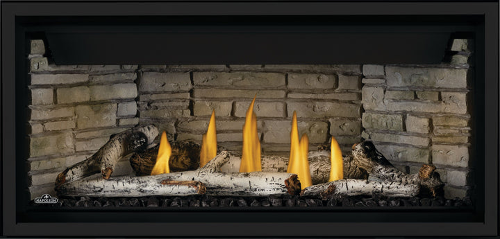 Ascent™ Linear Premium 42 Direct Vent Fireplace, BLX42NTE