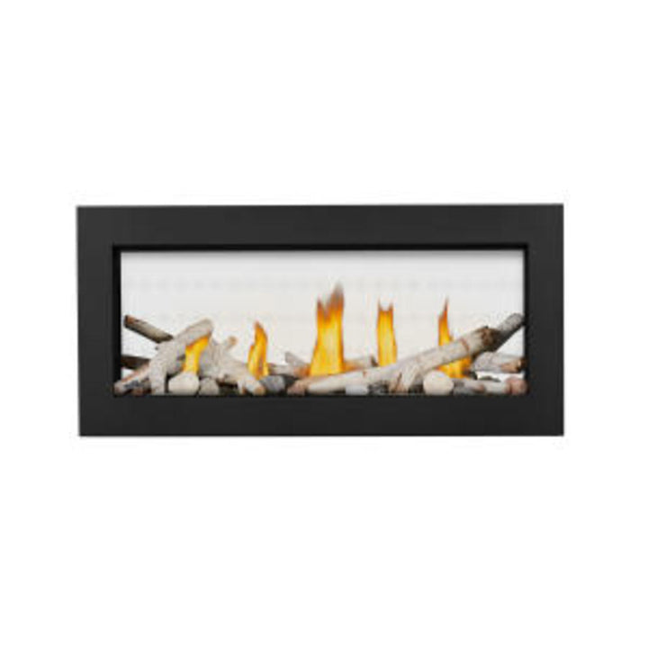 Vector™ 38 See Through Direct Vent Fireplace