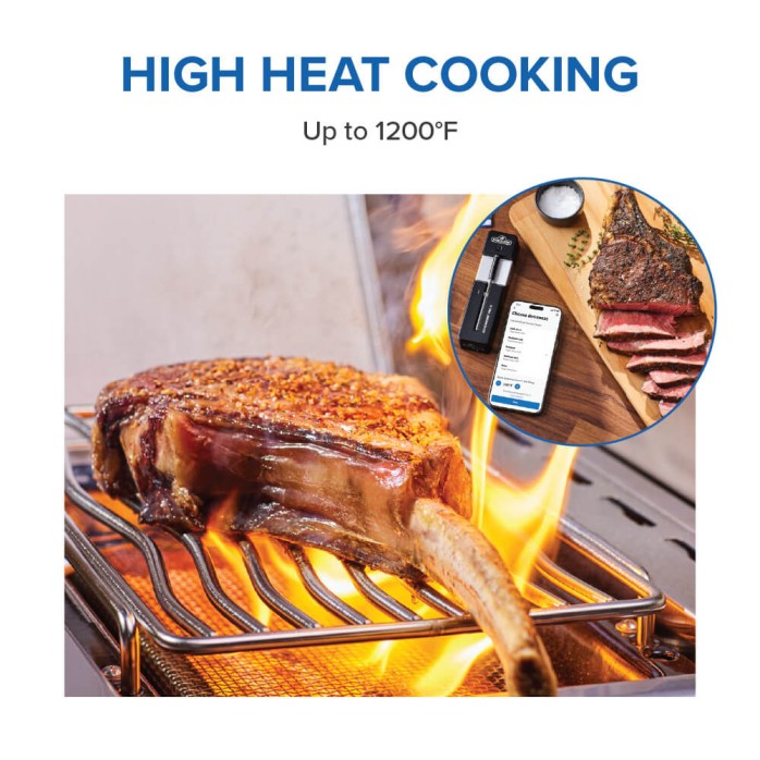 ACCU-PROBE™ PRO X Wireless Bluetooth® Smart Thermometer, 70130