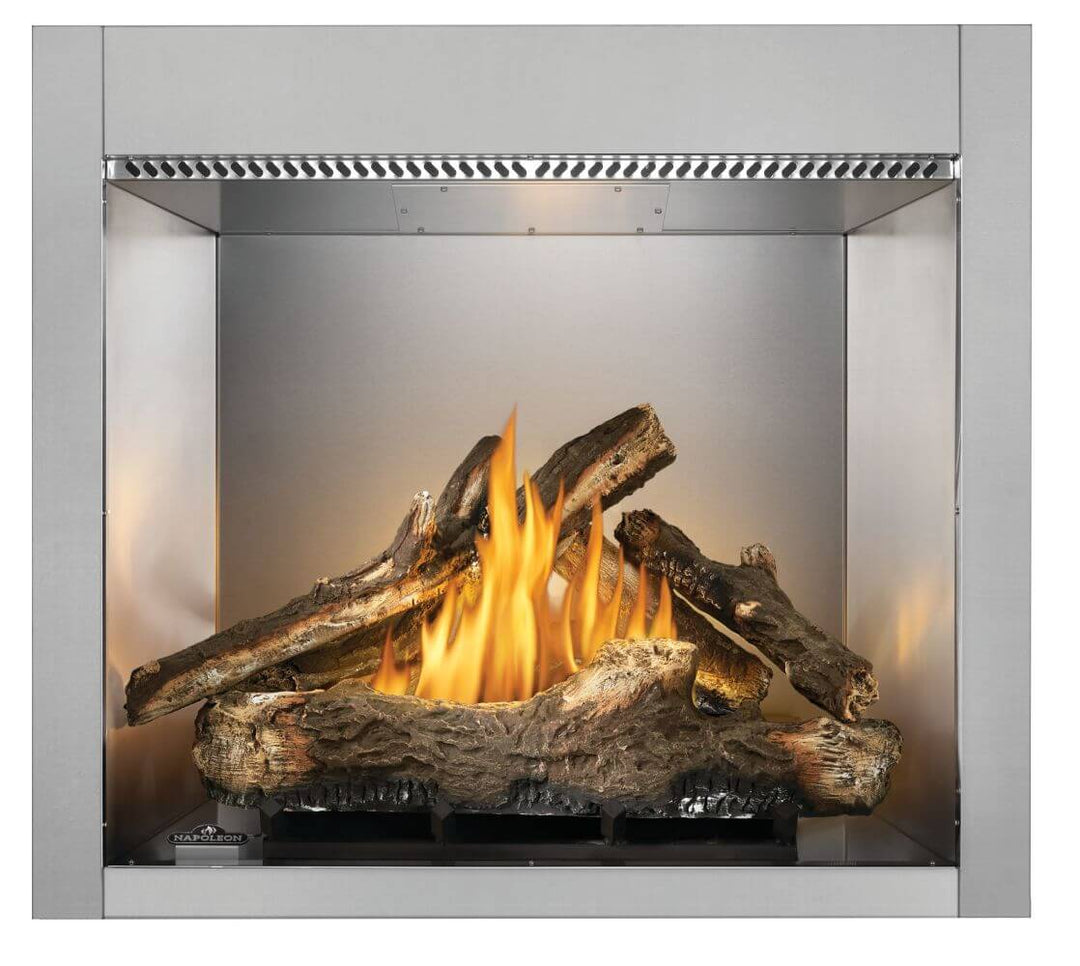 Outdoor Gas Fireplace: Napoleon, Riverside 42, RSS42