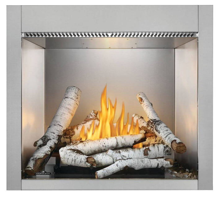 Outdoor Gas Fireplace: Napoleon, Riverside 42, RSS42