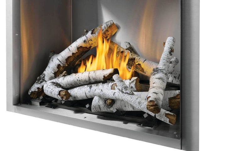 Outdoor Gas Fireplace: Napoleon, Riverside 42, RSS42